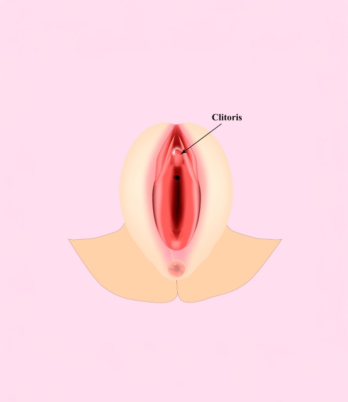 Clitoroplastia e Clitoropexia